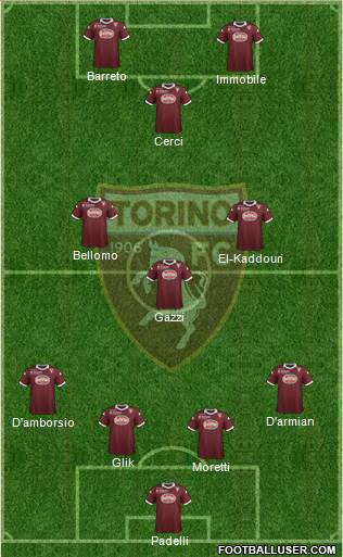 Torino Formation 2013