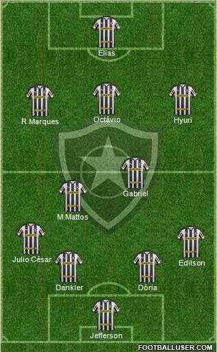 Botafogo FR Formation 2013