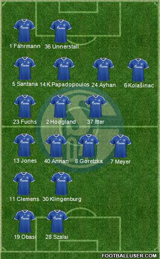 FC Schalke 04 Formation 2013