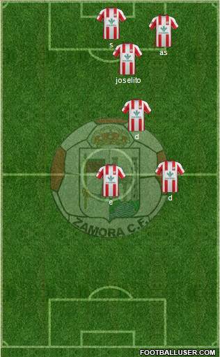 Zamora C.F. Formation 2013