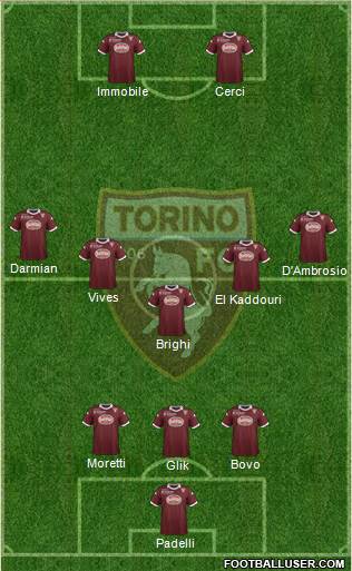 Torino Formation 2013