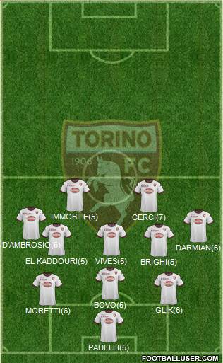 Torino Formation 2013