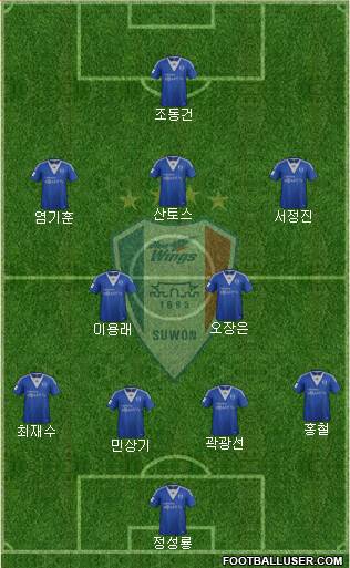 Suwon Samsung Blue Wings Formation 2013