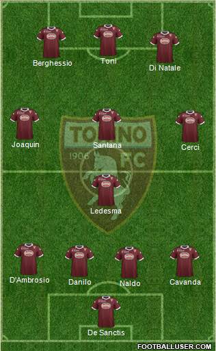 Torino Formation 2013