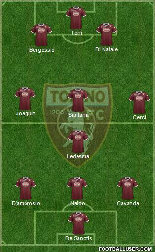 Torino Formation 2013