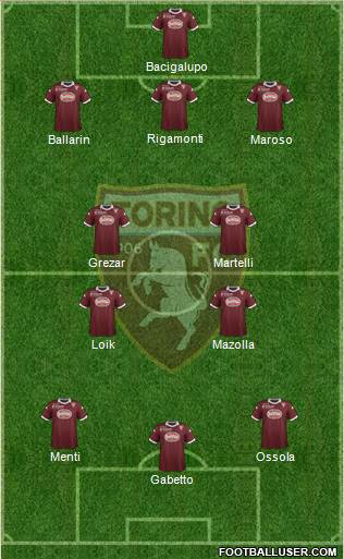 Torino Formation 2013