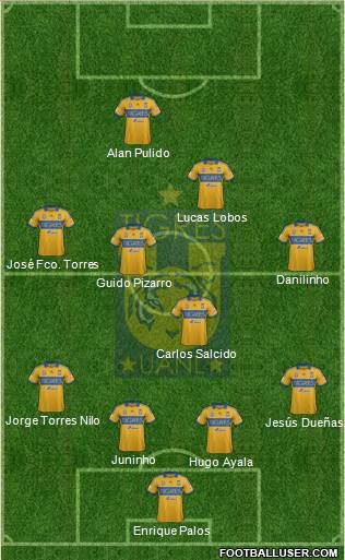 Club Universitario de Nuevo León Formation 2013