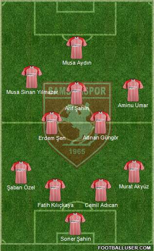 Samsunspor Formation 2013