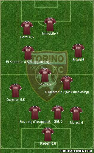 Torino Formation 2013