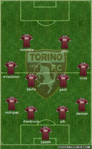 Torino Formation 2013