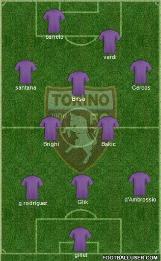 Torino Formation 2013