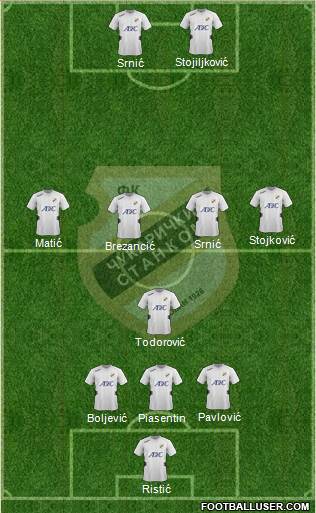 FK Cukaricki Stankom Beograd Formation 2013