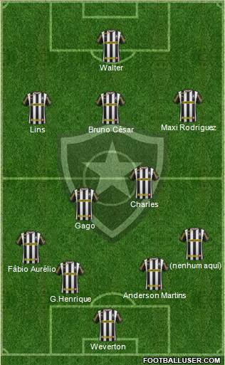 Botafogo FR Formation 2013