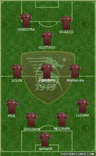 Salernitana Formation 2013