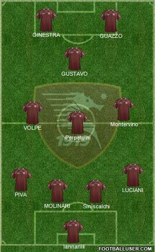 Salernitana Formation 2013