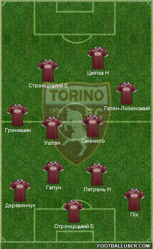 Torino Formation 2013