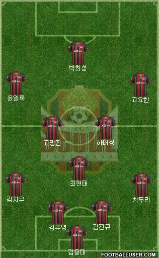 FC Seoul Formation 2013