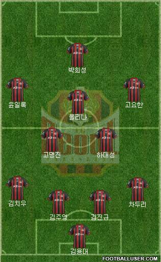 FC Seoul Formation 2013