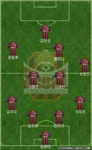 FC Seoul Formation 2013