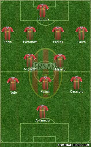 Ternana Formation 2013