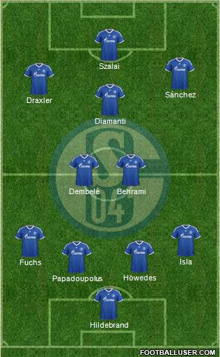 FC Schalke 04 Formation 2013