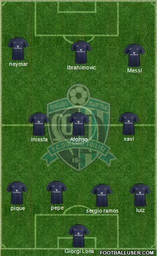 Dinamo Tbilisi Formation 2013