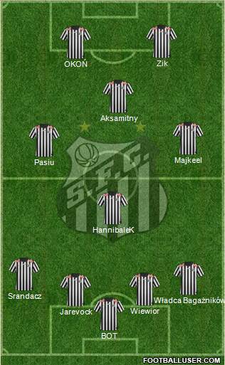 Santos FC Formation 2013