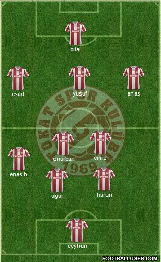 Tokatspor Formation 2013