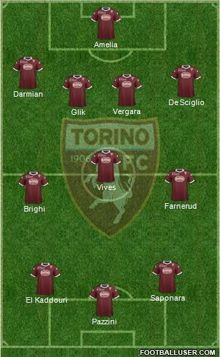 Torino Formation 2013