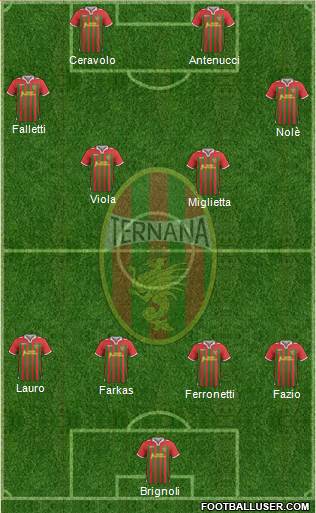 Ternana Formation 2013