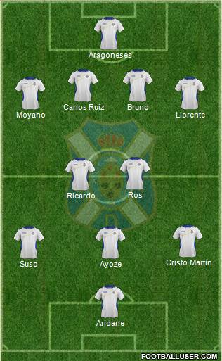 C.D. Tenerife S.A.D. Formation 2013