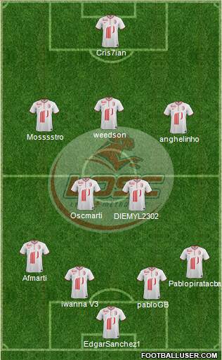 LOSC Lille Métropole Formation 2013