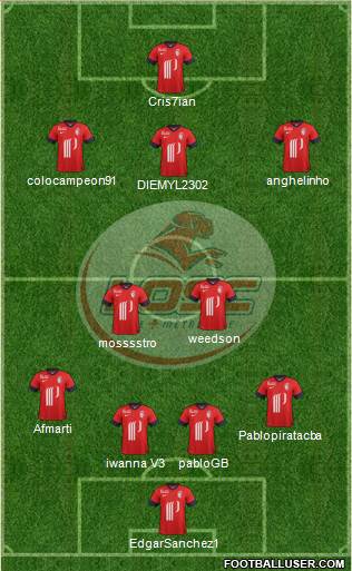 LOSC Lille Métropole Formation 2013