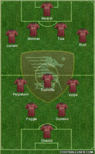 Salernitana Formation 2013