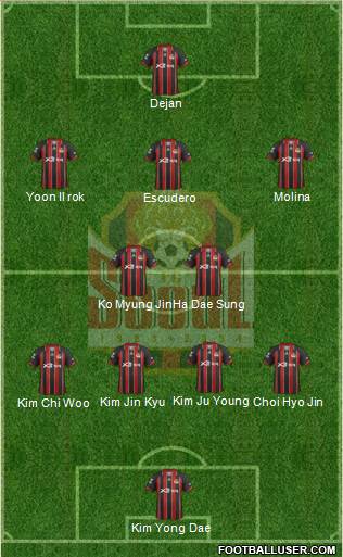 FC Seoul Formation 2013