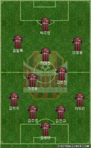 FC Seoul Formation 2013