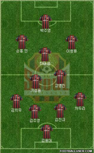 FC Seoul Formation 2013