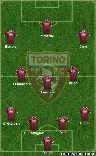 Torino Formation 2013