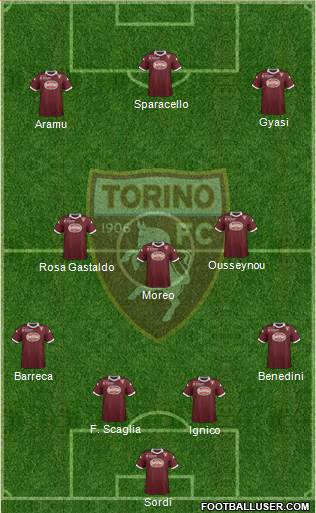 Torino Formation 2013