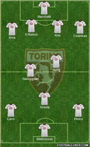 Torino Formation 2013