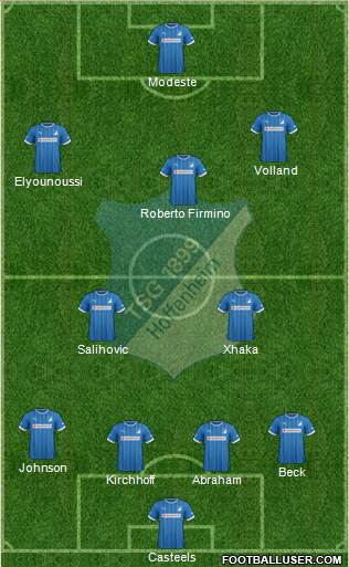 TSG 1899 Hoffenheim Formation 2013