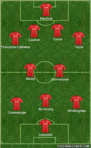 Cardiff City Formation 2013