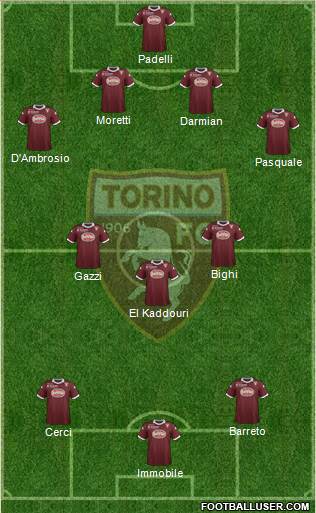 Torino Formation 2013