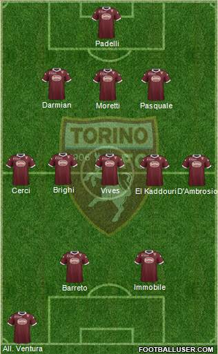 Torino Formation 2013