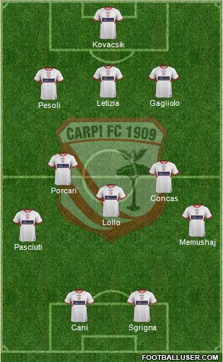 Carpi Formation 2013