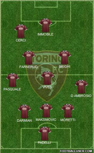 Torino Formation 2013