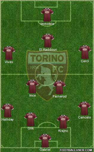 Torino Formation 2013