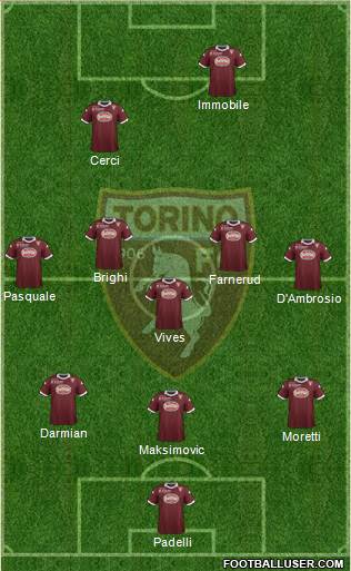 Torino Formation 2013