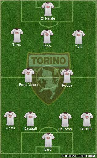 Torino Formation 2013