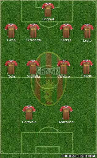 Ternana Formation 2013